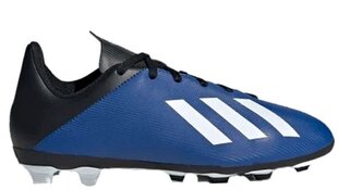 Jalgpallijalatsid Adidas X 19.3 FG J EG7152, sinine hind ja info | Jalgpallijalatsid | kaup24.ee