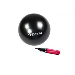 Võimlemispall Delta PMP05 Mini pumbaga, 20 cm, must hind ja info | Võimlemispallid | kaup24.ee