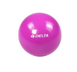 Võimlemispall Delta RMO967, 25 cm, lilla hind ja info | Võimlemispallid | kaup24.ee