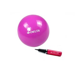 Võimlemispall Delta PMP06 Mini pumbaga, 20 cm, lilla hind ja info | Võimlemispallid | kaup24.ee