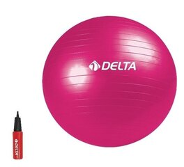 Võimlemispall Delta DS6455 pumbaga, 55 cm, roosa hind ja info | Võimlemispallid | kaup24.ee