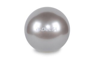 Võimlemispall Delta VSL324, 25 cm, hall hind ja info | Võimlemispallid | kaup24.ee