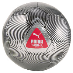 Pall Puma Cage Ball, metallic silver hind ja info | Jalgpalli pallid | kaup24.ee