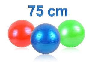 Pumbaga jõusaalipall, 75 cm hind ja info | Võimlemispallid | kaup24.ee