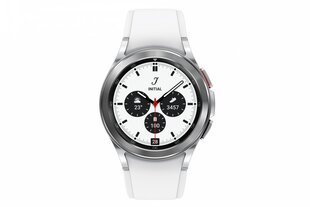 Samsung Galaxy Watch 4 Classic (LTE, 42 mm), Hõbe hind ja info | Nutikellad (smartwatch) | kaup24.ee