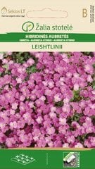 AUBRET LEISHTLINII roosa hind ja info | Lilleseemned | kaup24.ee