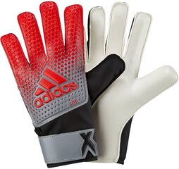 Väravavahi kindad Adidas X LITE CF0088 Punane - Hall - Must hind ja info | Jalgpalli varustus ja riided | kaup24.ee