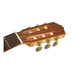 Klassikaline kitarr Salvador Cortez CC-06-BB hind ja info | Kitarrid | kaup24.ee