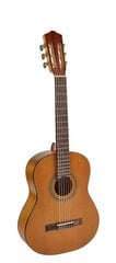 Klassikaline kitarr Salvador Cortez CC-06-BB hind ja info | Kitarrid | kaup24.ee