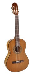 Klassikaline kitarr Salvador Cortez CC-06-SN hind ja info | Kitarrid | kaup24.ee
