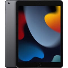 Apple iPad 10.2" Wi-Fi 256GB - Space Grey 9th Gen hind ja info | Tahvelarvutid | kaup24.ee