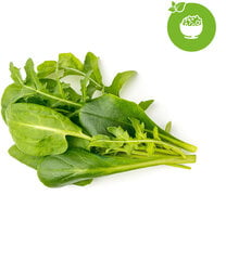 Click & Grow Plant Pod Salad Mix 9tk hind ja info | Nutipotid ja seemned | kaup24.ee