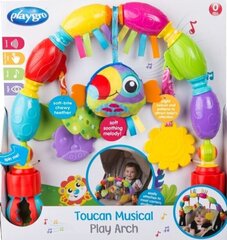 Vankrimänguasi Playgro Toucan Musical Play Arch, 0186985 hind ja info | Imikute mänguasjad | kaup24.ee