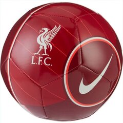 Jalgpalli pall Nike Liverpool FC Skills DD1505 677 hind ja info | Jalgpalli pallid | kaup24.ee