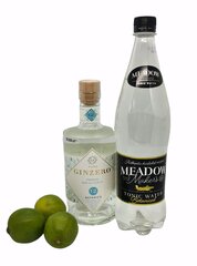 Alkoholivaba kokteil Gin ja toonik, 700 ml hind ja info | Mittealkohoolsed joogid | kaup24.ee