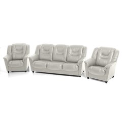 Pehme mööbli komplekt Mann, 3+1+1, kaetud nahaga, - valge 5007, musta värvi jalad hind ja info | Pehme mööbli komplektid  | kaup24.ee