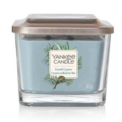 Lõhnaküünal Yankee Candle Coastal Cypress 347 g hind ja info | Küünlad, küünlajalad | kaup24.ee
