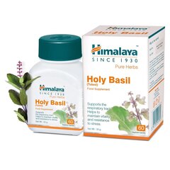 Toidulisand Himalaya Holy Basil (Tulasi), 60 kapslit hind ja info | Muud toidulisandid ja preparaadid | kaup24.ee