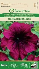 Suureõieline petuunia Touha H Burgundy hind ja info | Lilleseemned | kaup24.ee