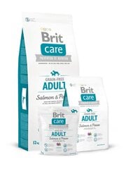 Brit Care Salmon All Breed - Salmon & Potato 3 kg hind ja info | Kuivtoit koertele | kaup24.ee