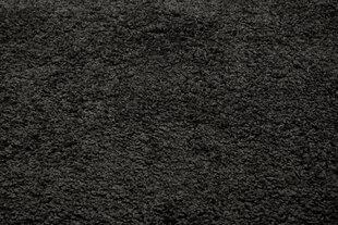 Vaip Shaggy Graphite, 120 x 170 cm hind ja info | Vaibad | kaup24.ee