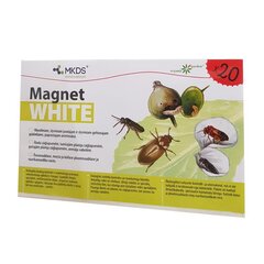 Mini MAGNET white (20X12 cm) – õuna- ja ploomivaablase, vaarikamardika püünis, 20 tk hind ja info | Hooldusvahendid taimedele | kaup24.ee