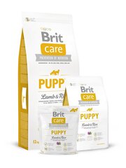 Kuivtoit koertele Brit Care Puppy All Breed Lamb & Rice 12 kg hind ja info | Kuivtoit koertele | kaup24.ee