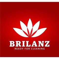 BRILANZ pesukäsnad, 3 tk hind ja info | Puhastustarvikud | kaup24.ee