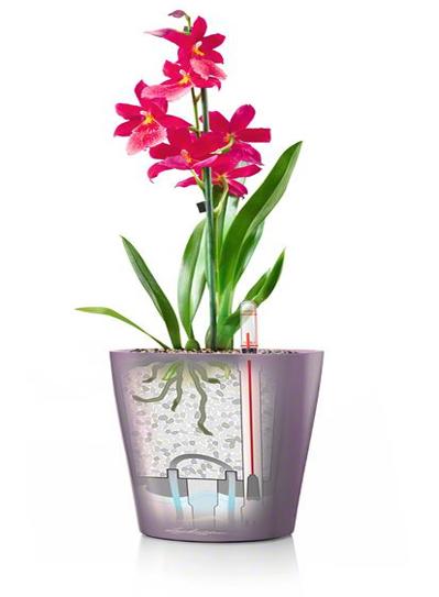 Lechuza Mini-Deltini kukkalaatikko, eri värejä hinta 