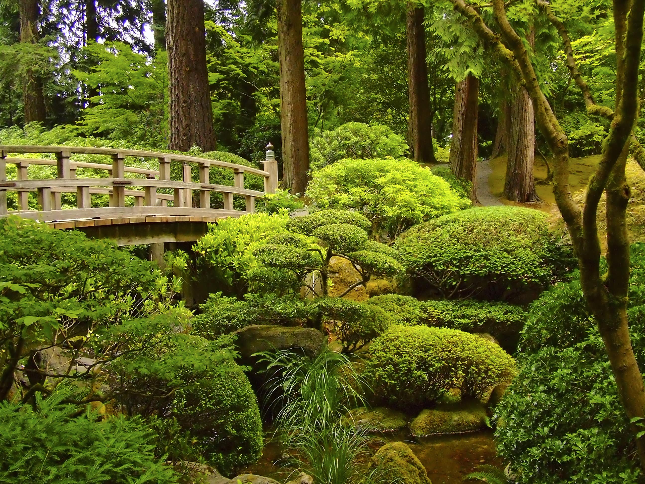 proportsioonid jaapani aias